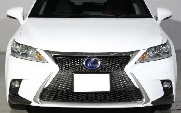 Genuine Lexus Japan 2014-2020 Ct F-Sport X Line Edition Radiator Mesh Grille Kit 1
