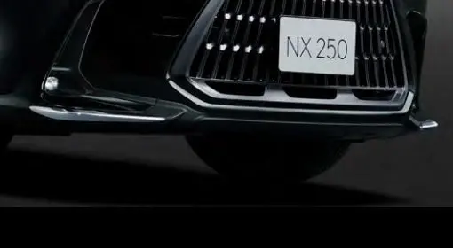 Genuine Lexus Japan 2022-2025 Nx Front Bumper Chrome Garnish Set 1
