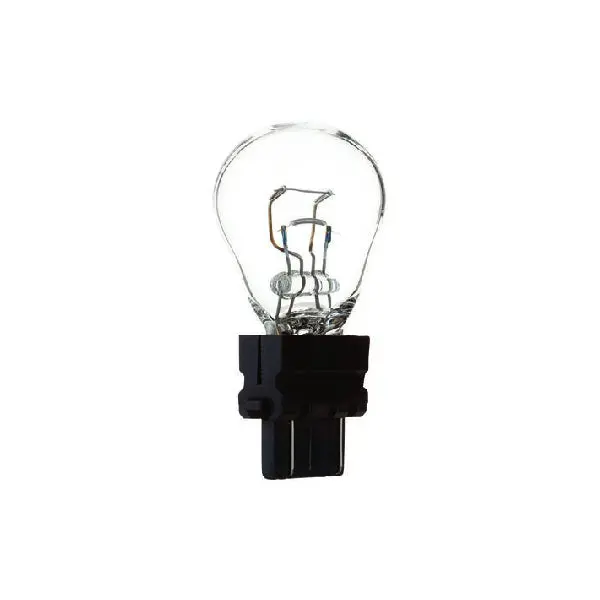 3057 Light Bulbs 1