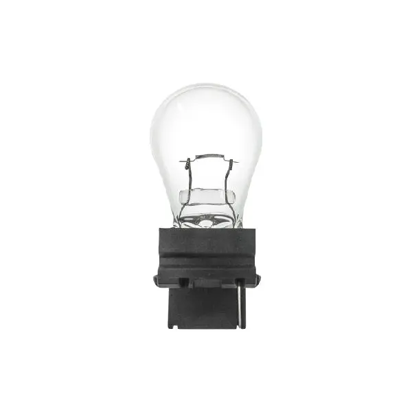 3156 Light Bulbs 1