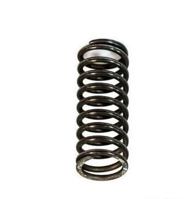 External Valve Spring 466384 For Volvo Tad740 1