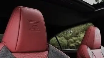 Genuine Lexus Japan 2016-2019 Rx F-Sport Front Headrest Set&Nbsp;(Set Of 2) 1