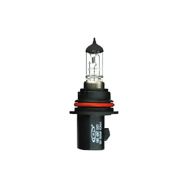 Light Bulb 9007 1
