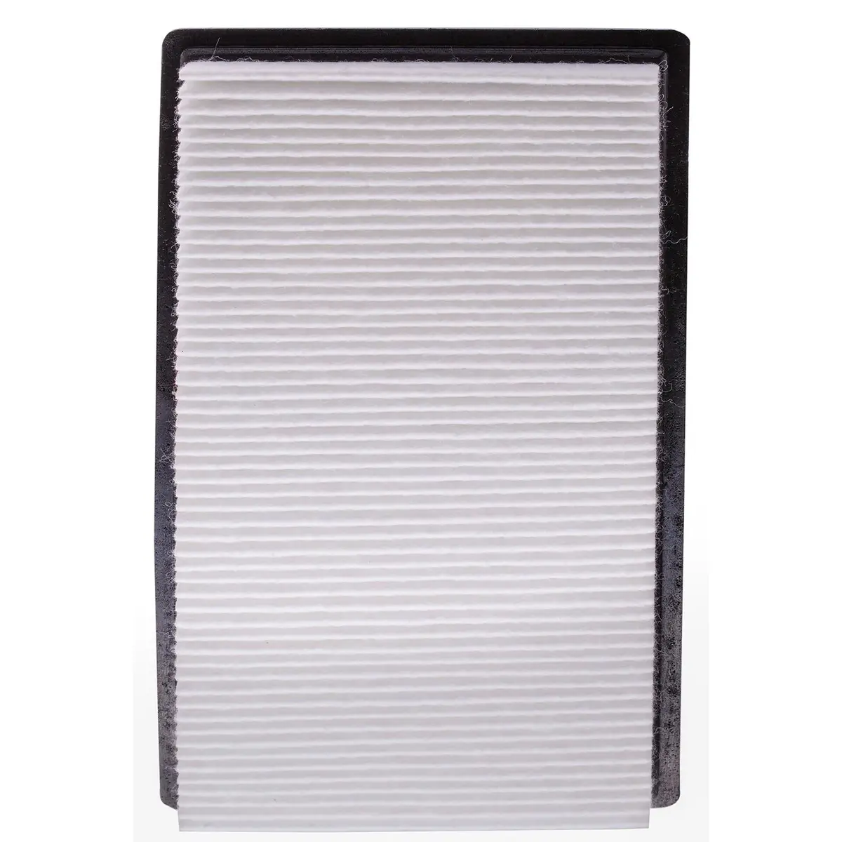 Choice Guard Caf 5635 Air Filter - A4012 1