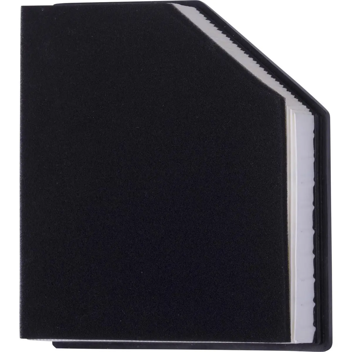 Choice Guard Caf 5788 Air Filter 1
