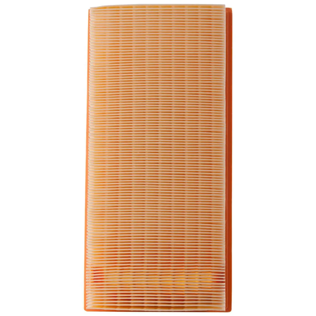 Choice Guard Caf 6198 Air Filter 1