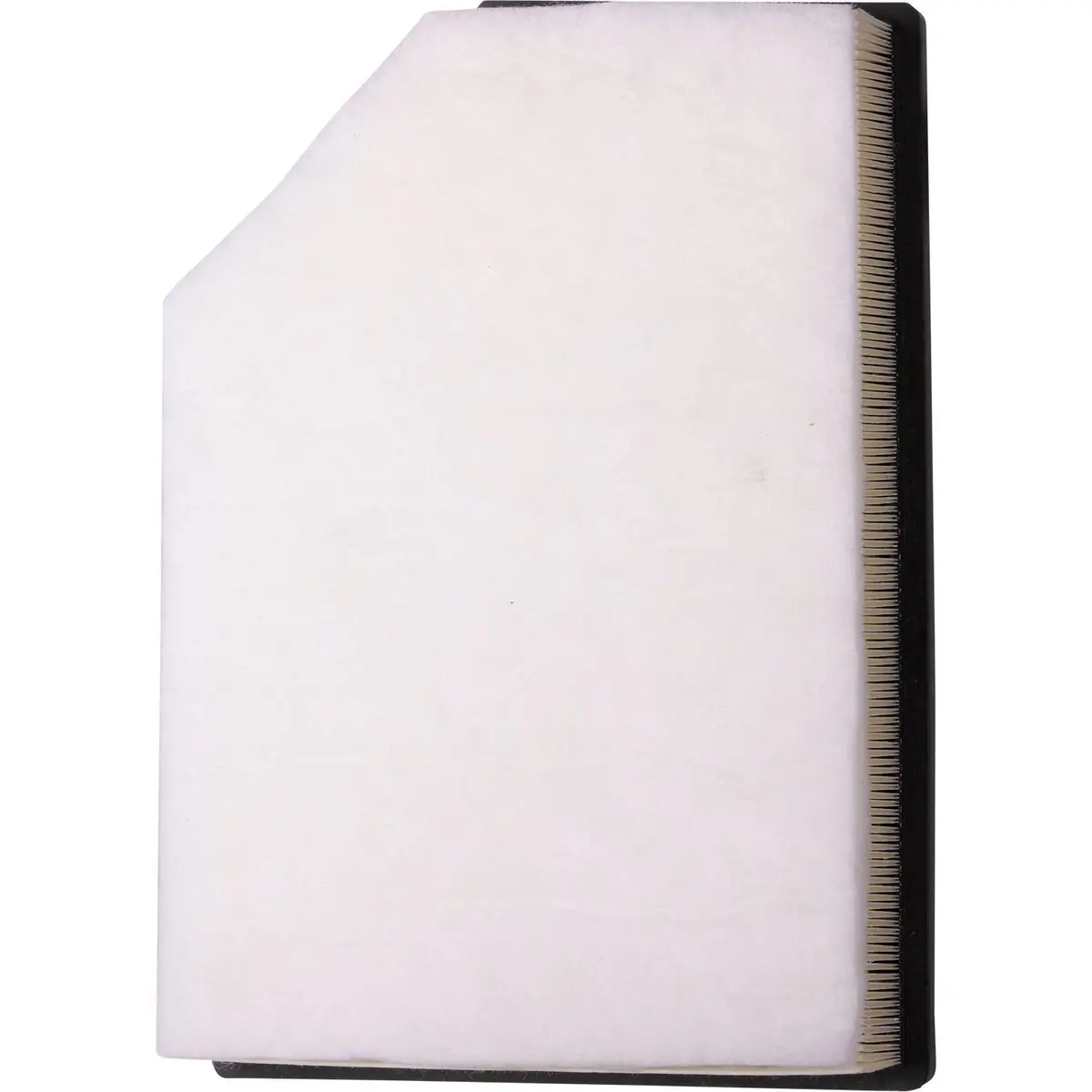 Choice Guard Caf 99929 Air Filter 1