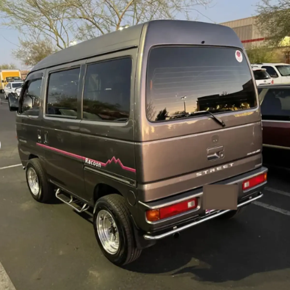 Racoon Side Decal - Pink - Honda Street Van Hh3, Hh4 Models - 1990-2000 1