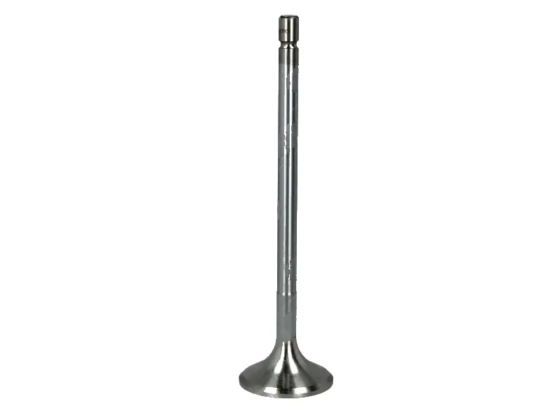 Exhaust Valve 3978766 For Volvo Tad730tad740 Truck Fl7 Bus B7 Off-Road Td73kbe A20c 1